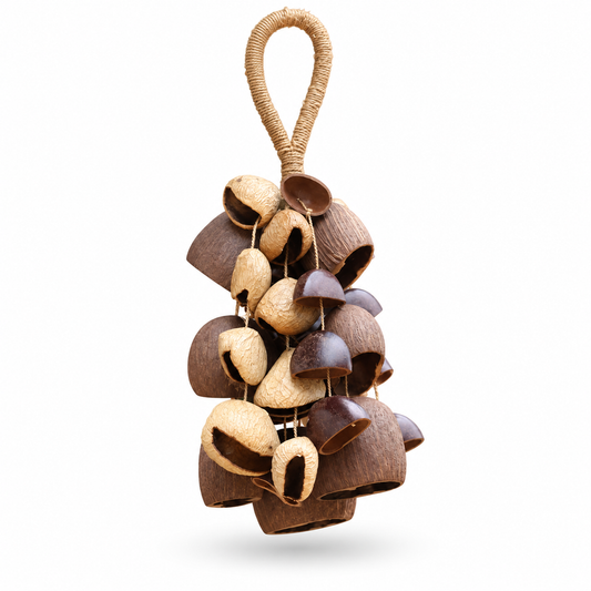 Natural Fruit Shell Lucky Keychain