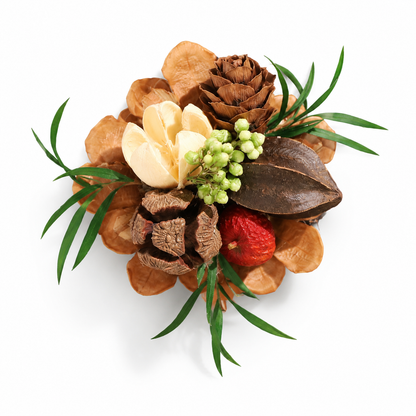 Natural Pinecone Plant Fridge Magnet